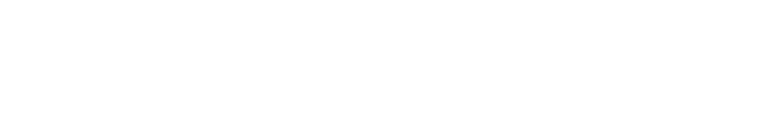 Ship Station logo
